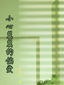 小心翼翼的偏爱 cover