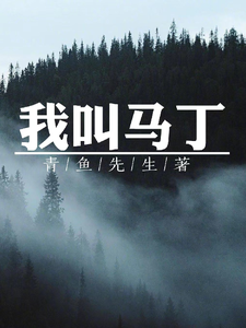 我叫马丁 cover