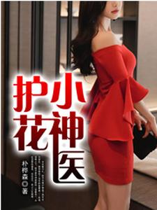护花小神医 cover