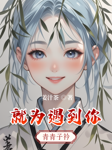 就为遇到你 cover