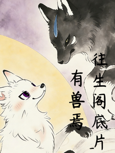 有兽焉：往生阁底片 cover