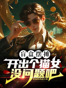 盲盒摆摊，开出个猫女没问题吧 cover