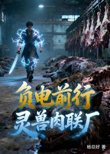 负电前行：灵兽肉联厂 cover
