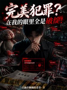 Perfect Crime? In My Eyes, It’s All Flaws! cover