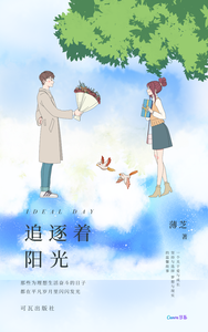 追逐着阳光 cover