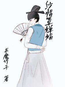 纱帽罩婵娟 cover
