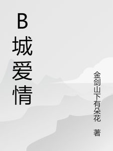 B城爱情 cover