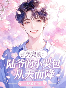 强势宠溺：陆爷的小哭包从天而降 cover