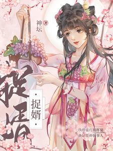 捉婿 cover