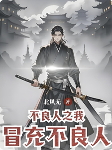 不良人之我冒充不良人 cover