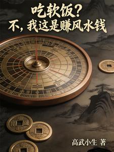吃软饭？不，我这是赚风水钱 cover