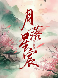 月落星宸， cover