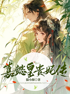 嘉懿皇贵妃传 cover