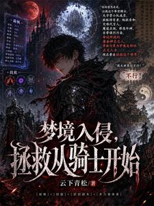 最终之梦 cover