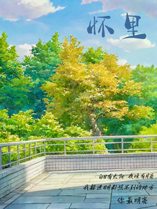 怀里 cover