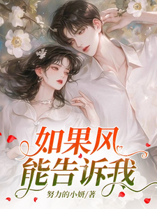 如果风能告诉我 cover