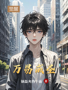 万易成圣 cover