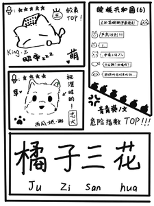 橘子三花 cover
