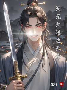 天元大陆之天命 cover