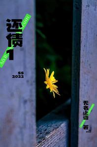 还债1 cover