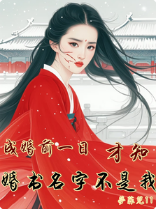 成婚前一日，才知婚书名字不是我 cover