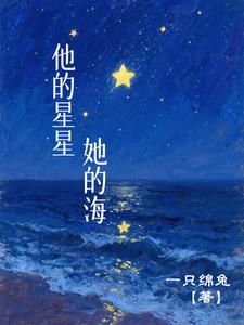 他的星星，她的海 cover