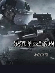我在暗区当伪装 cover