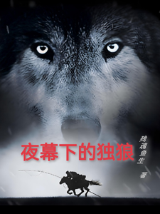 夜幕下的独狼 cover