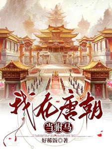 我在唐朝当驸马 cover