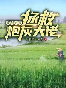 穿越七零，拯救炮灰大佬 cover