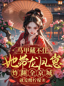 马甲藏不住她带龙凤崽炸翻全京城 cover