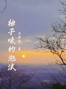 柚子味的泡沫 cover