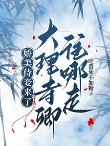 娇美侍妾来了，大理寺卿往哪走 cover