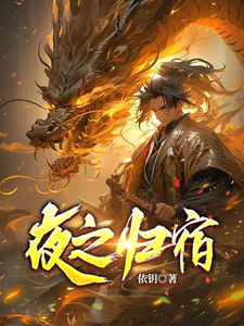 夜之归宿 cover