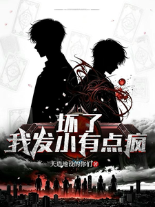 坏了，我发小有点疯 cover