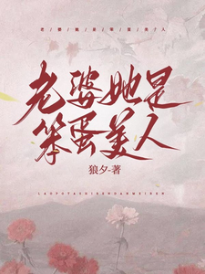 老婆她是笨蛋美人 cover