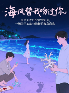 海风替我吻过你 cover