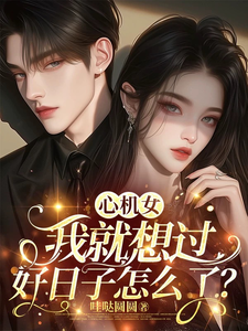 心机女：我就想过好日子怎么了？ cover