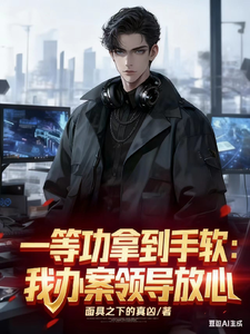 一等功拿到手软:我办案领导放心 cover
