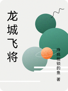 龙城飞将 cover