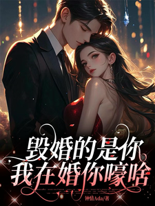 毁婚的是你，我在婚你嚎啥 cover