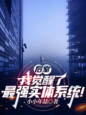 后室:我觉醒了最强实体系统!