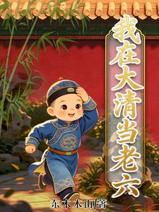 I’m a ‘Lao Liu’ in the Great Qing Dynasty cover