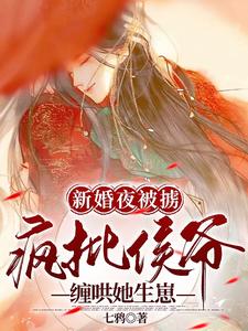 新婚夜被掳，疯批侯爷缠哄她生崽 cover