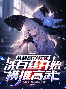 从帮高冷校花洗白丝开始横推高武 cover
