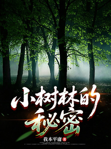 小树林的秘密 cover