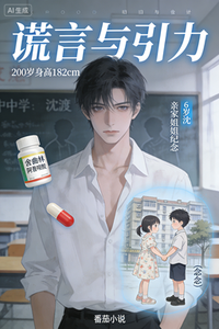 谎言与引力 cover