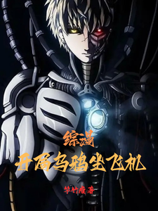 综漫：开局乌鸦坐飞机 cover