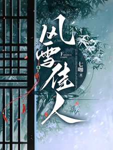 风雪佳人 cover