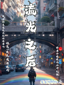 流光之后 cover